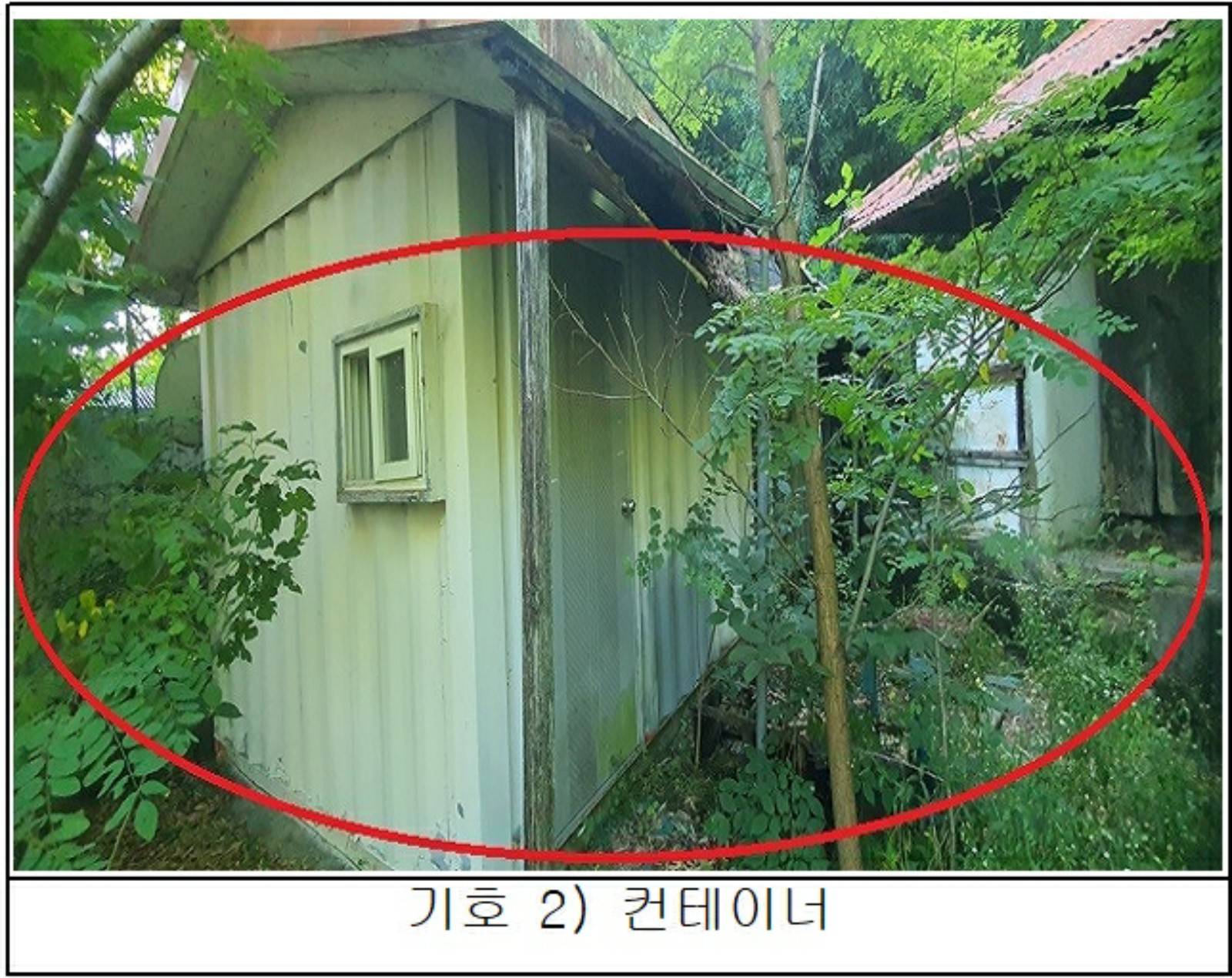 202612408002 5