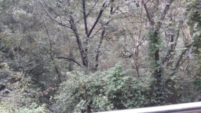 본건 목록4. 부동산(평창동 425-5)