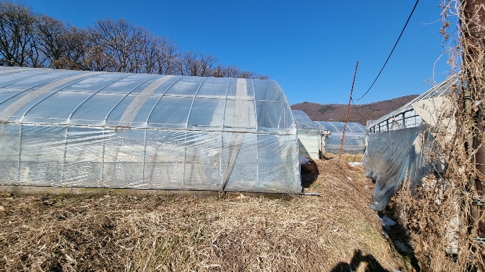 일련번호(1) 토지 전경