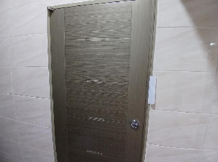 세대 현관문