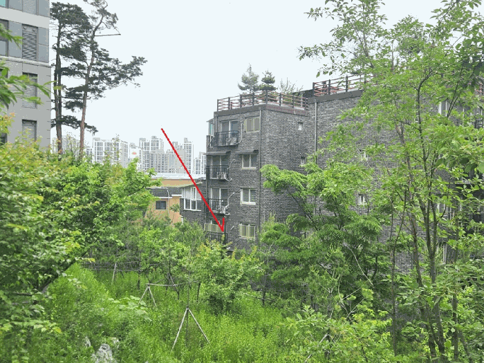남서측에서 촬영