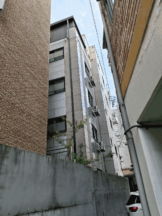 후면 상황