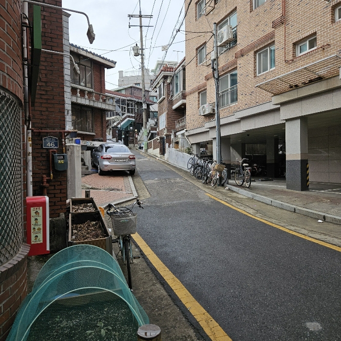 2024타경51100