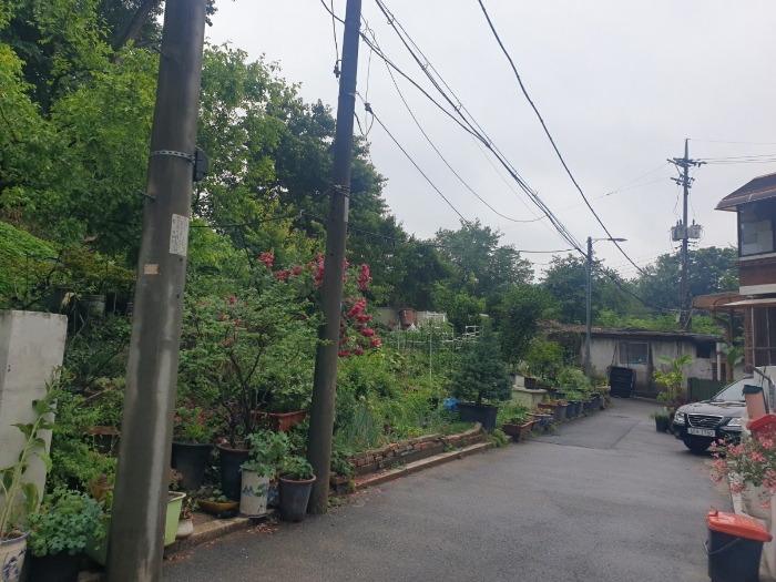 본건 전경