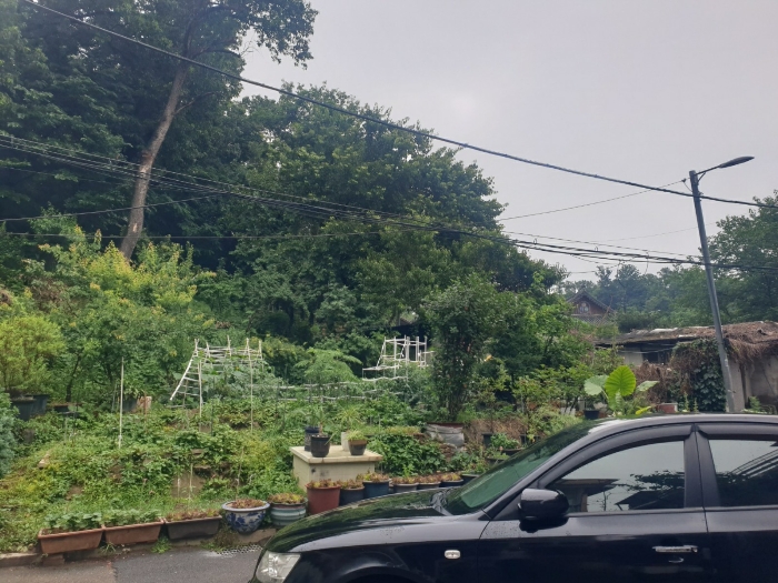 본건 전경