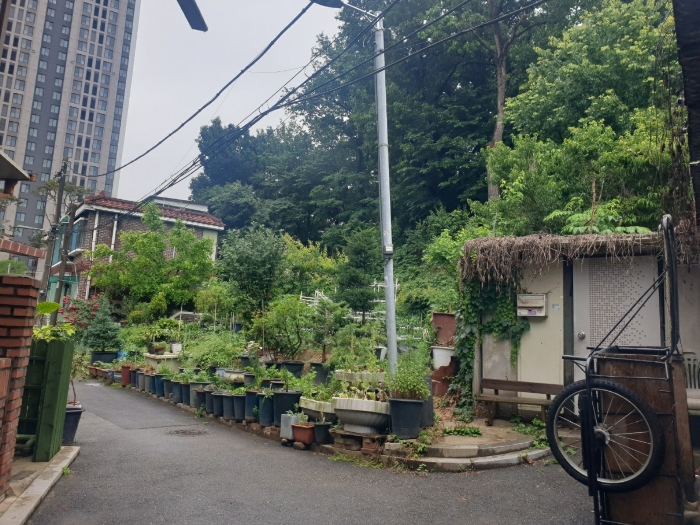 본건 전경