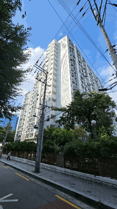 < 남측에서 본 본건 소재 건물 전경 >