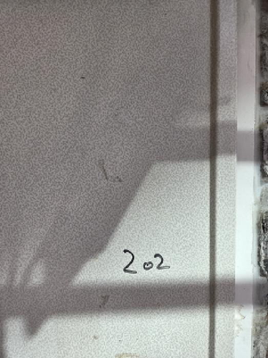 202호