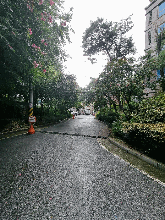 주변환경(본건 남측으로 촬영)