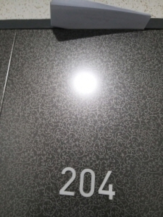 204호