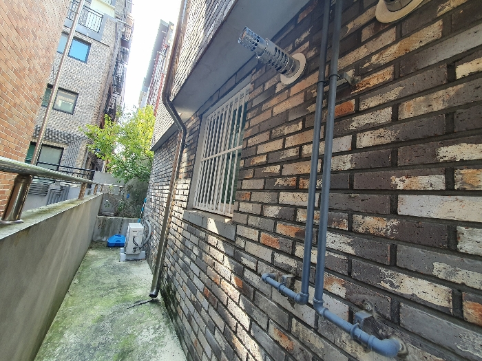 본건