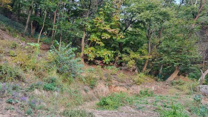 2023타경113519[2]