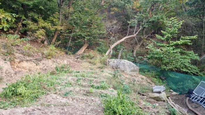 2023타경113519[2]