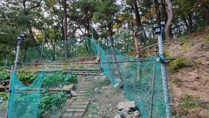 2023타경113519[2]