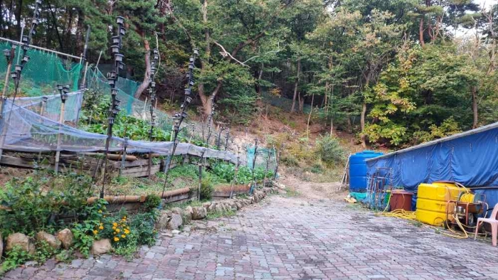 2023타경113519[2]
