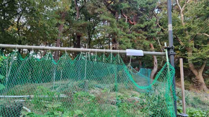 2023타경113519[2]