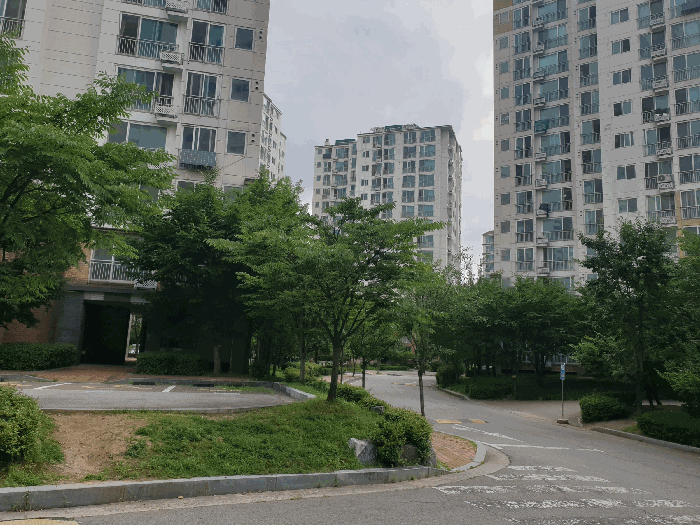 2025타경12697