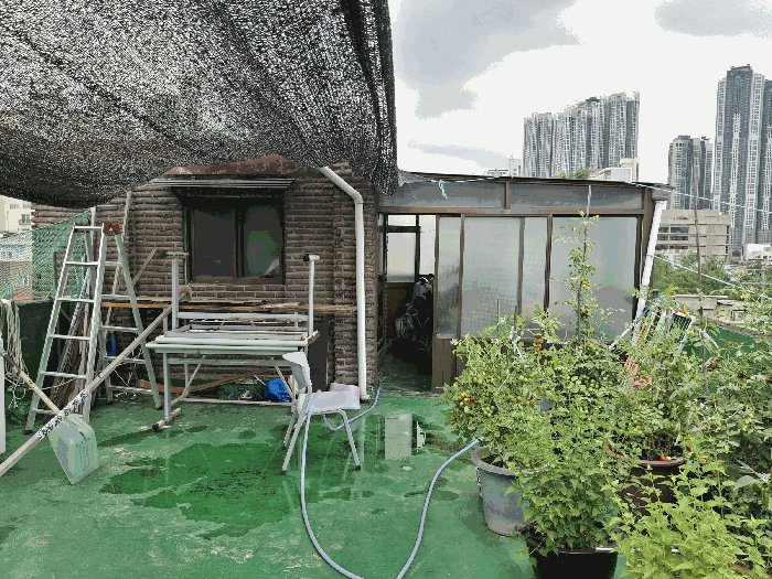 옥탑(제시외 건물 (ㅂ)) 전경