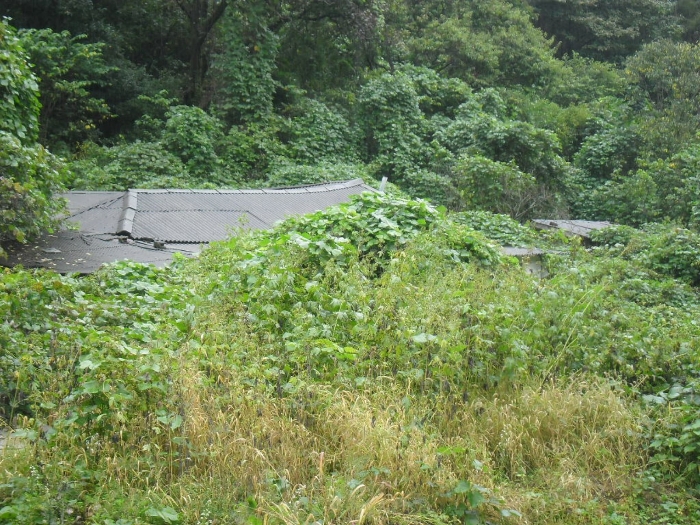 2021타경9510[1]