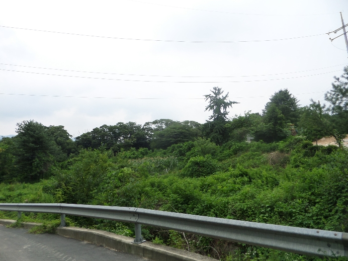 2022타경3151[1]