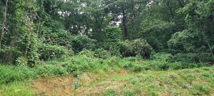 본건전경