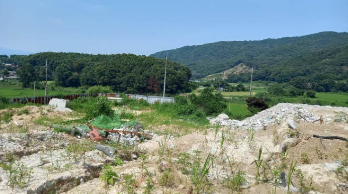 본건 토지 전경