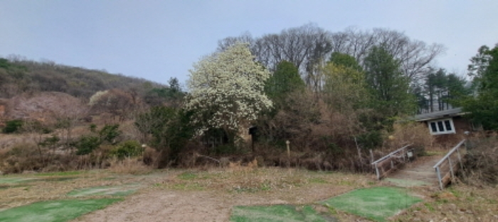 목록4 잡종지 전경2