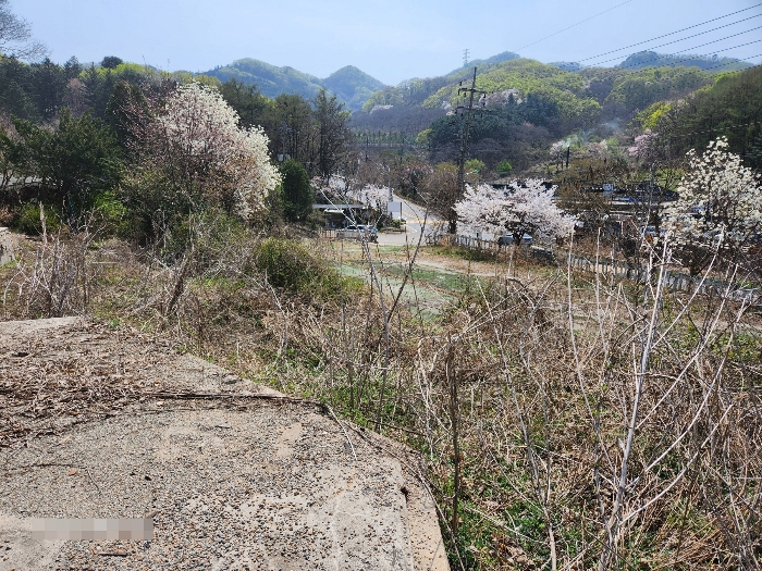 일련번호(4)토지 내부 전경