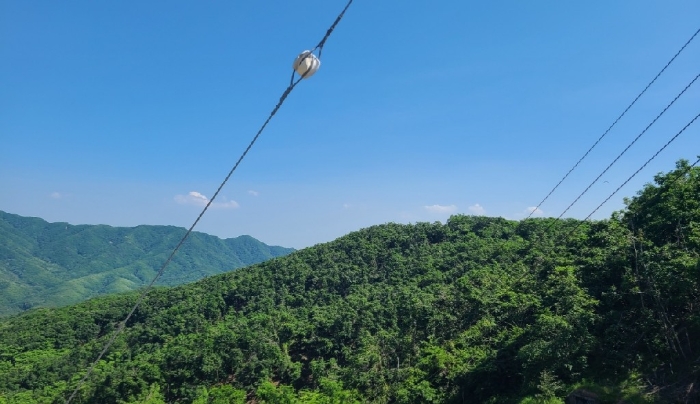 본 건 전 경