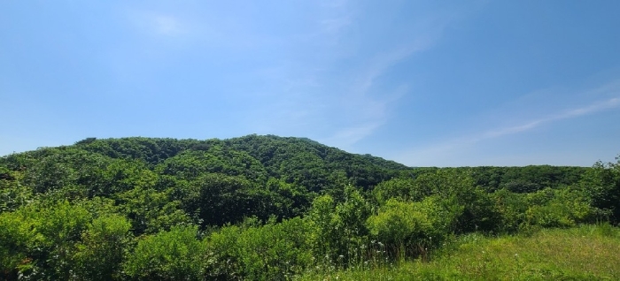 본 건 전 경