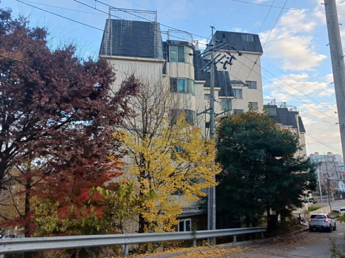 건물 전경