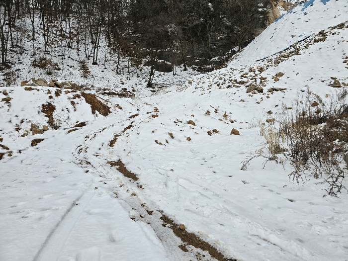 본건 기호(1) 전경
(현황도로)
