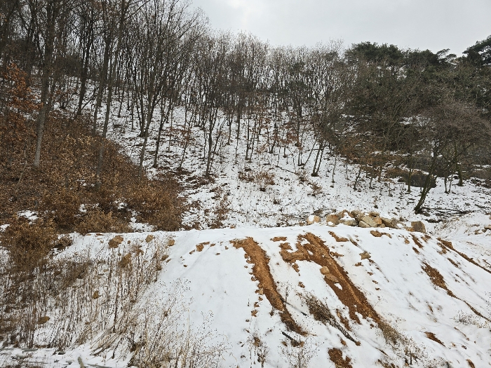 본건 기호(8),(13) 전경
(허가지)