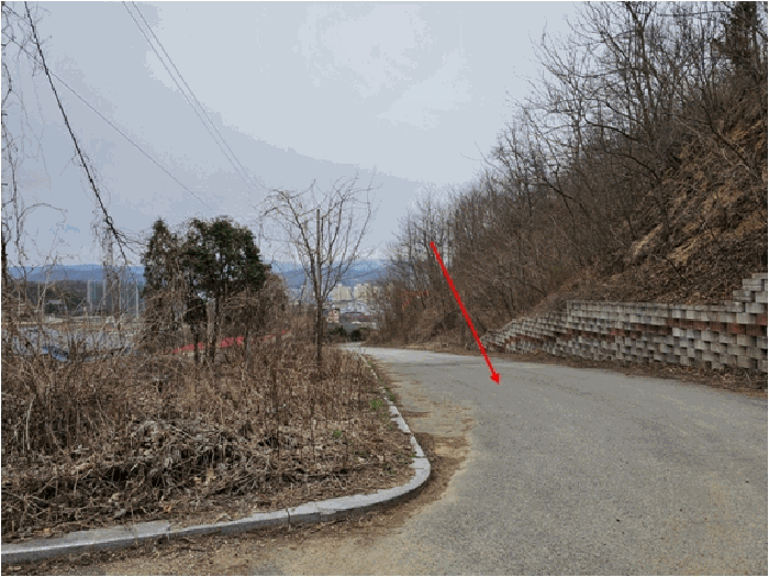 일련번호7 토지 전경