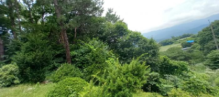 목록5. 토지(임야) 전경