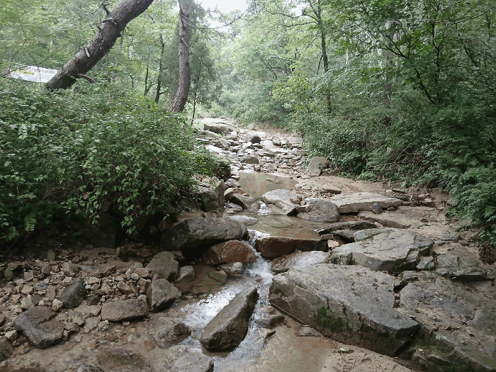 기호(1)토지상의 현황 구거 전경