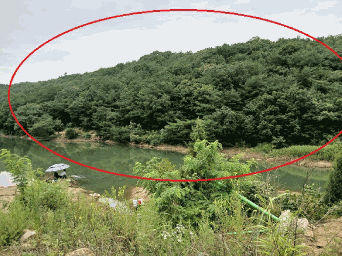 대상토지 및 주변 전경