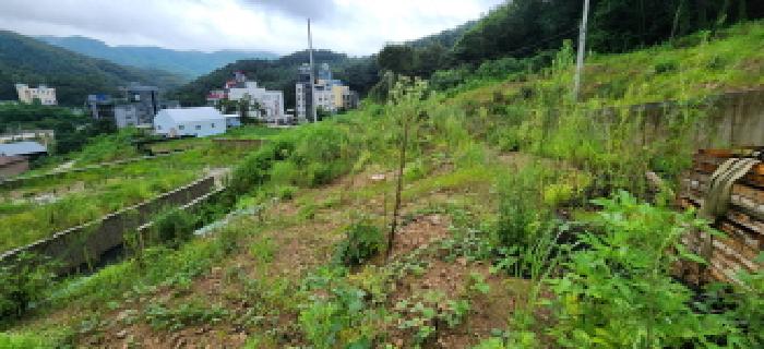 본건 부동산 전경4