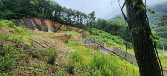 본건 부동산 전경17