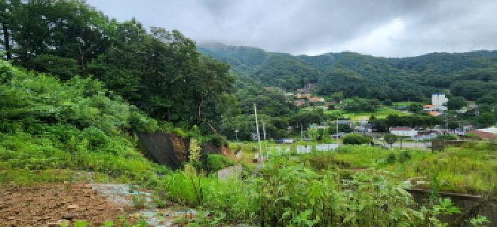 본건 부동산 전경6