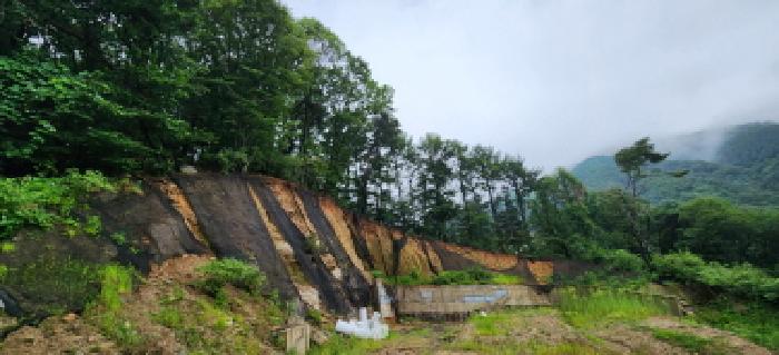 본건 부동산 전경7