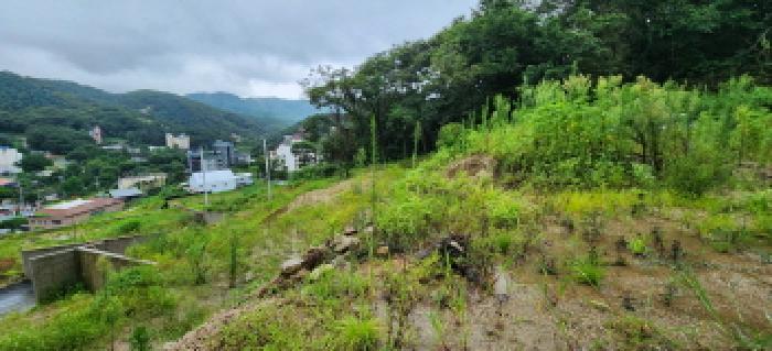 본건 부동산 전경9