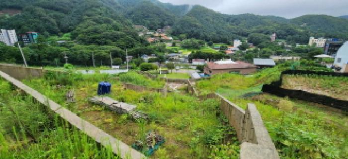 본건 부동산 전경13