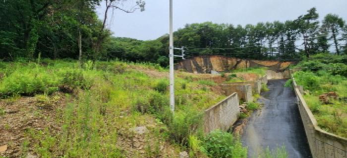 본건 부동산 전경11