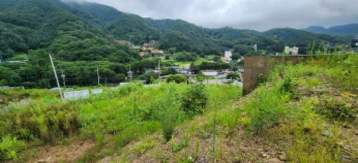 본건 부동산 전경14