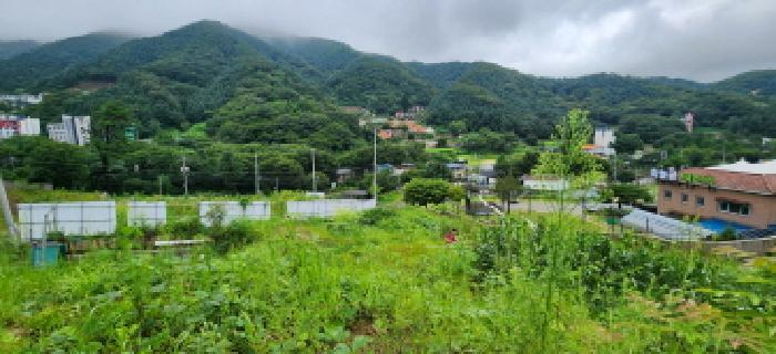 본건 부동산 전경15