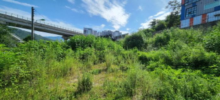 본건 부동산 전경4