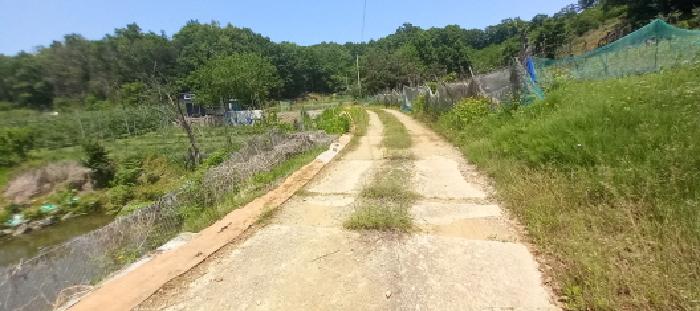본건 토지 전경