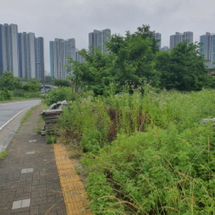 본건 토지와 도로가의 경계 부분 전경