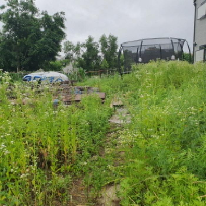 본건 토지와 인접지 토지(건물)과의 경계부분